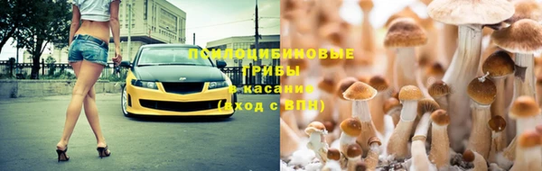 ALPHA PVP Касимов