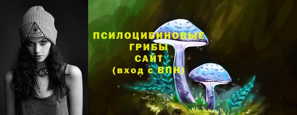 ALPHA PVP Касимов