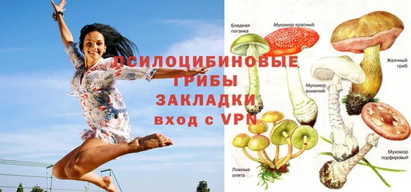 мет Карпинск
