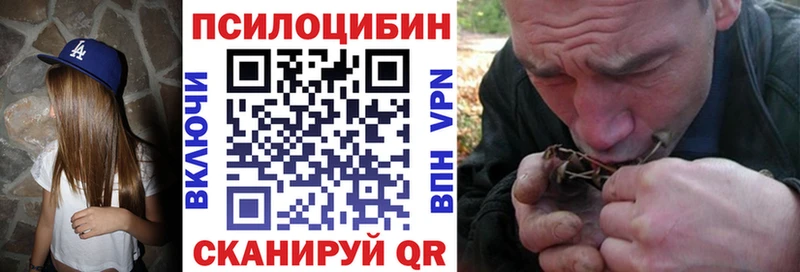 Галлюциногенные грибы Psilocybine cubensis  Купить где  Верещагино 
